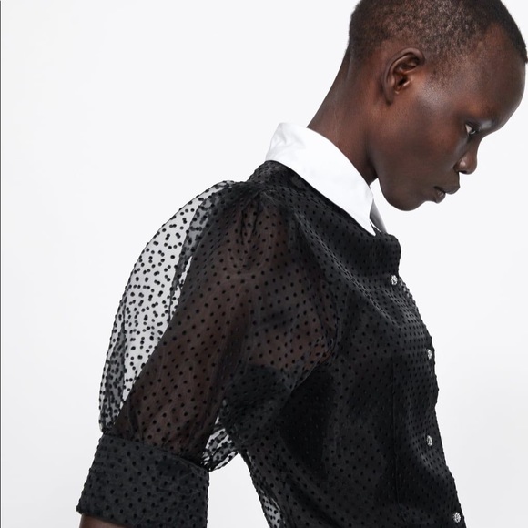 NWT Zara French dot sheer blouse - Picture 2 of 6